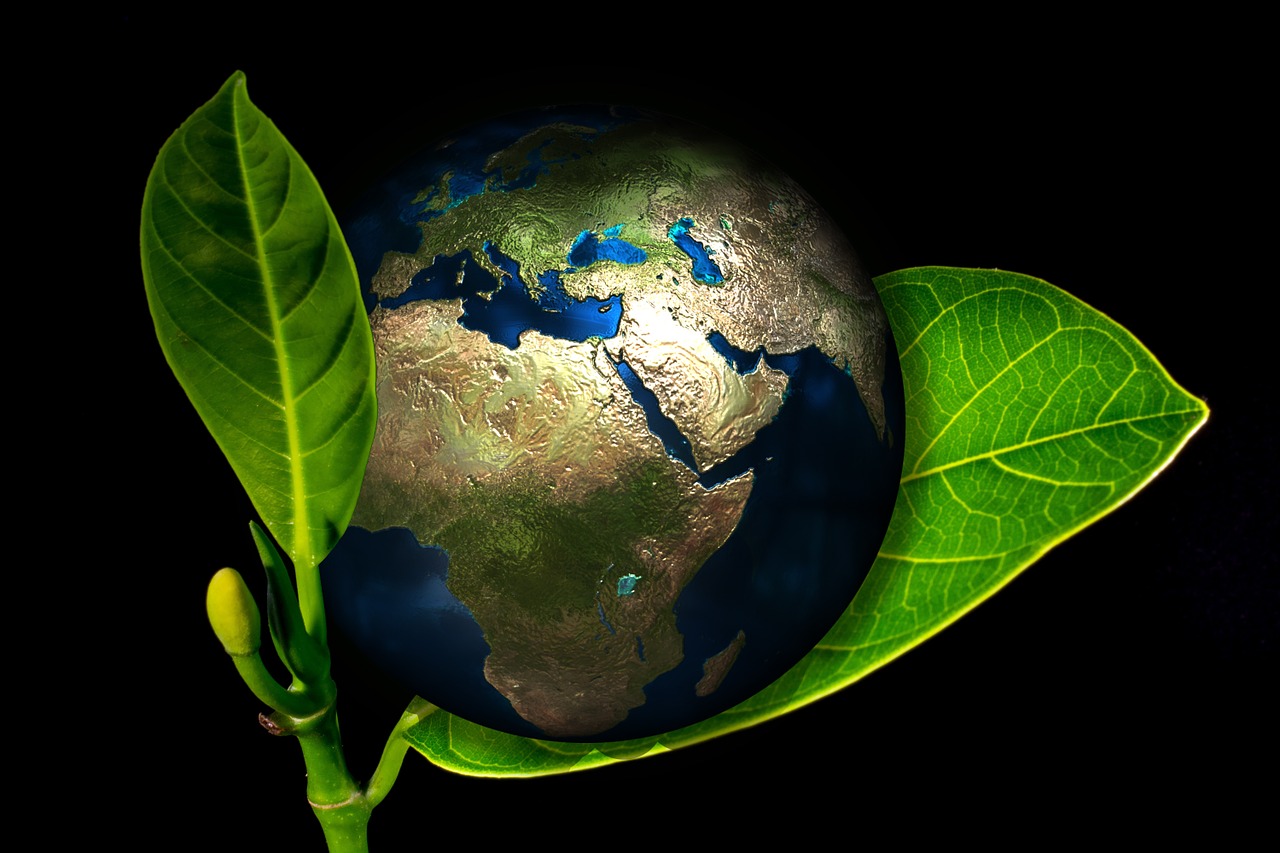 Ekorozwój: jak równoważyć rozwój gospodarczy z ochroną środowiska